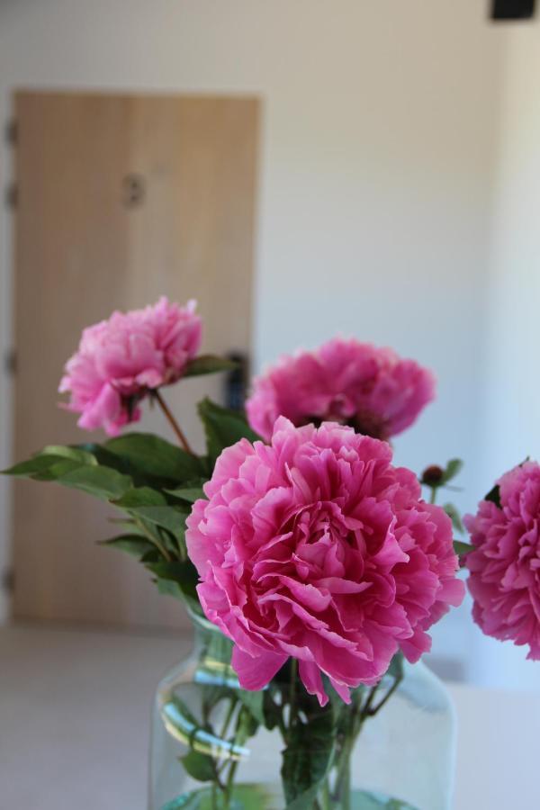 B&B Biesvenhof Merksplas ภายนอก รูปภาพ